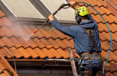 Démoussage et hydrofuge de toiture à Chamole